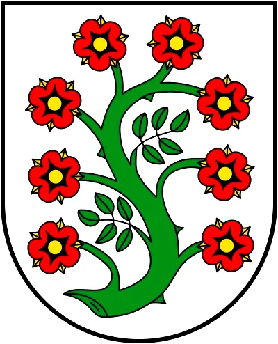 Treppenlift Selfkant